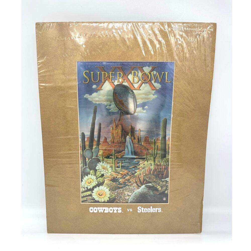 NFL Superbowl XXX Official Art by Braldt Bralds Jan 1996 Cowboys vs Steelers